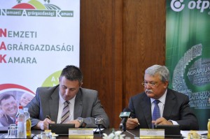 Gyõrffy Balázs; Csányi Sándor