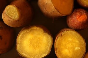 Mexikói jamgyökér krém 